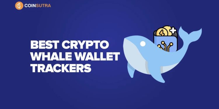 6 Best Crypto Whale Wallet Tracker & Watchers (2023)
