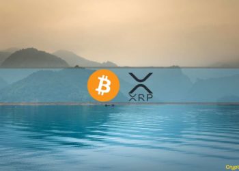 XRP Rally Cools Off, MicroStrategy Buys More BTC, Market Calms Down: This Week’s Crypto Recap