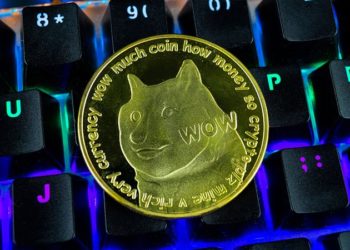 Elon Musk Accused of Dogecoin Insider Trading Offences by Aggrieved Investors