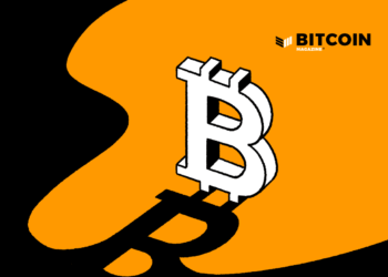 BTCPay Server Releases 1.10.0 Update With New Store Management System And Privacy Features