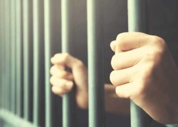 Father and Son Face up to 20 Years in Jail for Orchestrating a $10M Crypto Scam (Report)