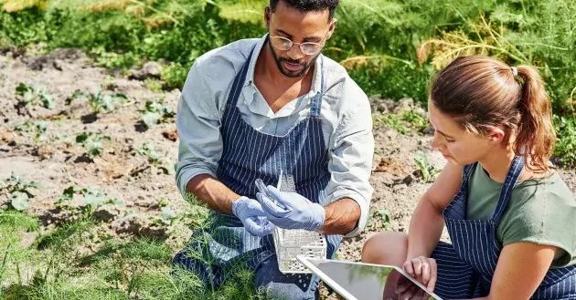 Transforming sustainable agriculture: The Nature Conservancy Centre and IBM unite to reduce crop residue burning in North India