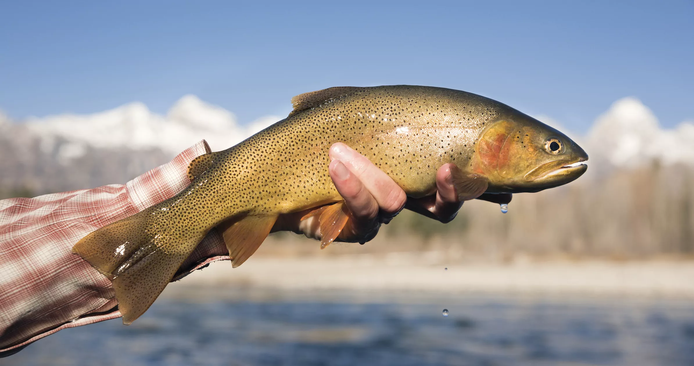 Spear phishing vs. phishing: what’s the difference?