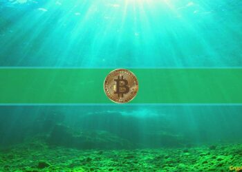 Local Bottom or More Pain for Bitcoin’s Price? Bitfinex Analysts Chip In